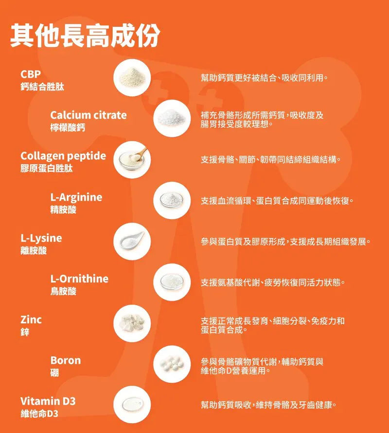 Height＋【11/1 截單，預計 :11月中至11月尾發貨】